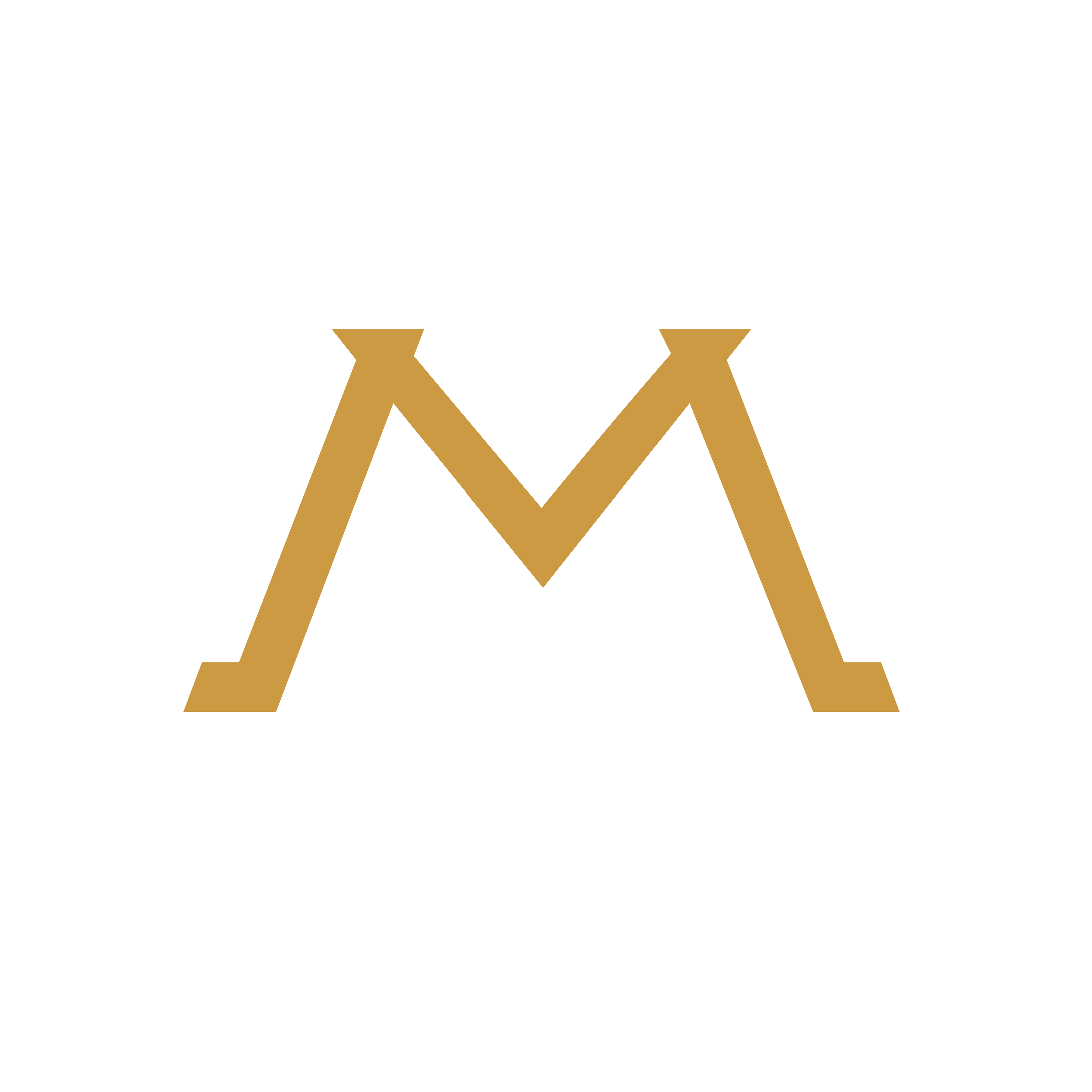 AM Inversiones 